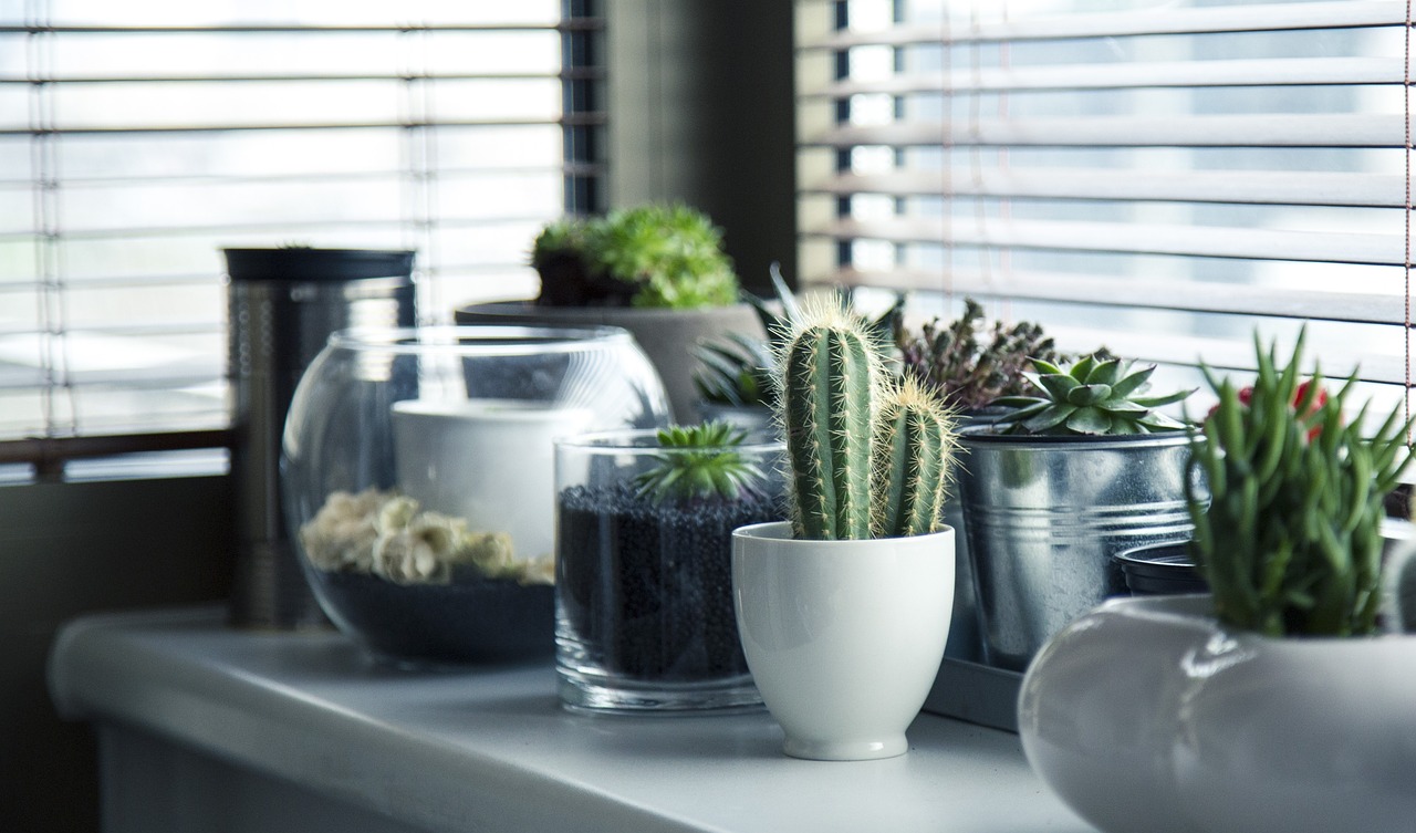 éléments décoratifs